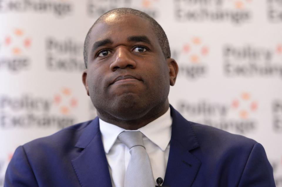 On the attack: Labour’s David Lammy (PA)