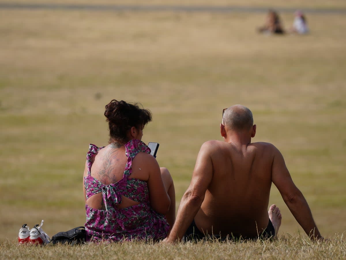 People enjoy the hot weather in Greenwich Park, London, on Wednesday (Yui Mok/PA). (PA Wire)