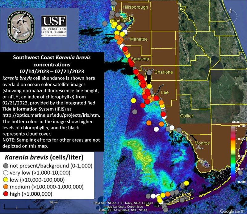 Samples published by the Florida Fish and Wildlife Conservation Commission show red tide has intensified to high levels across much of southwest Florida this week.