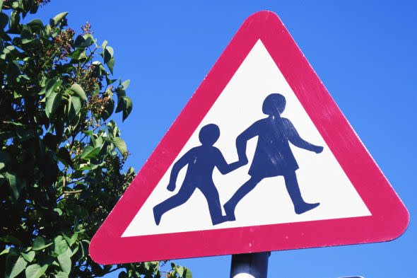 West Sussex,England - Warning: School children, education,color,vertical,West Sussex,England,warning,school,children,symbol,sign