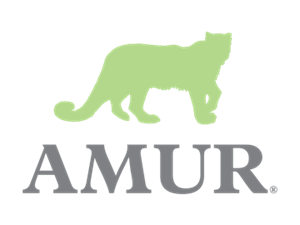 Amur Equipment Finance