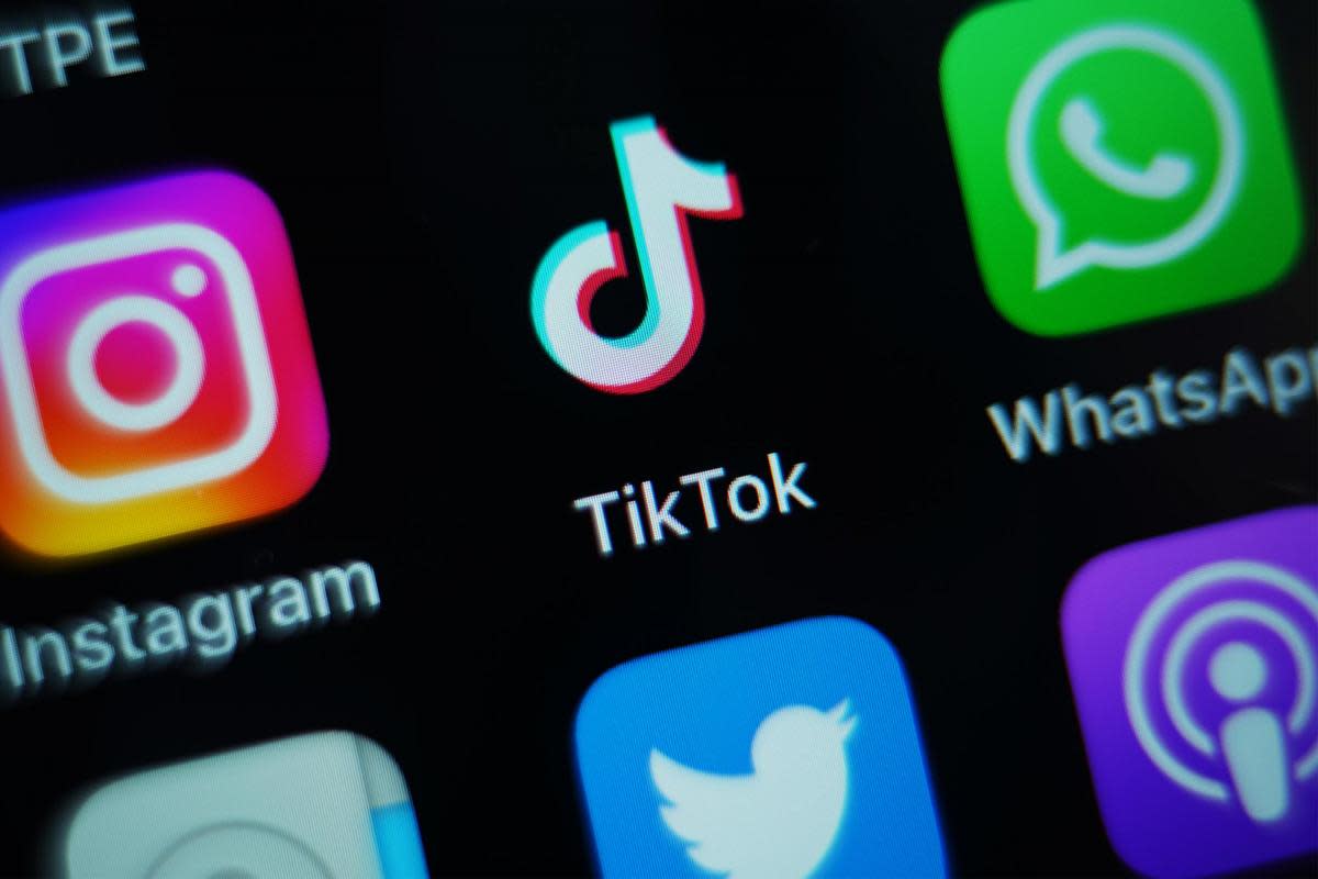 Have you used TikTok shop before? <i>(Image: PA)</i>