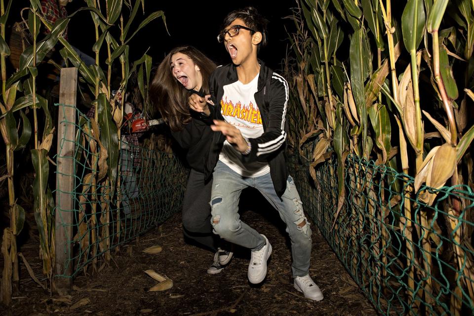 Visitors to Shady Brook Farm's maze of horror react to their adventure in Lower Makefield. [KIM WEIMER / STAFF PHOTOJOURNALIST]