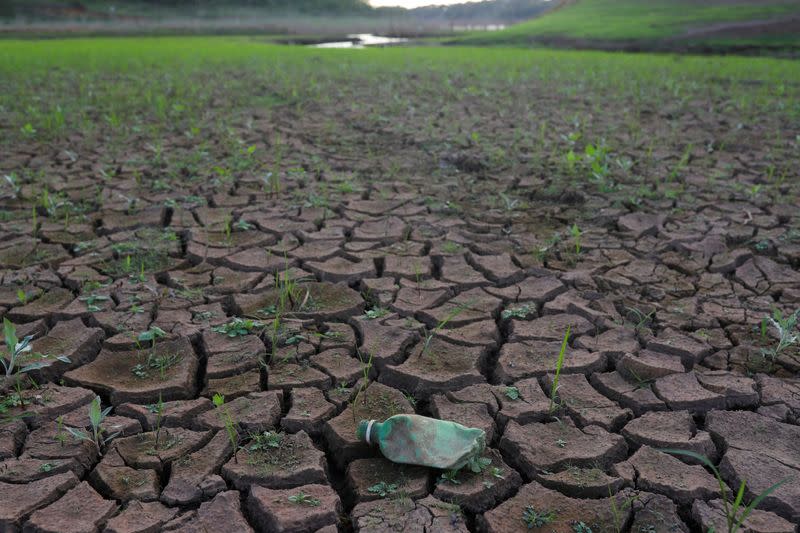 FILE PHOTO: A view of the Cantareira reservoir system during a severe drought, in Vargem