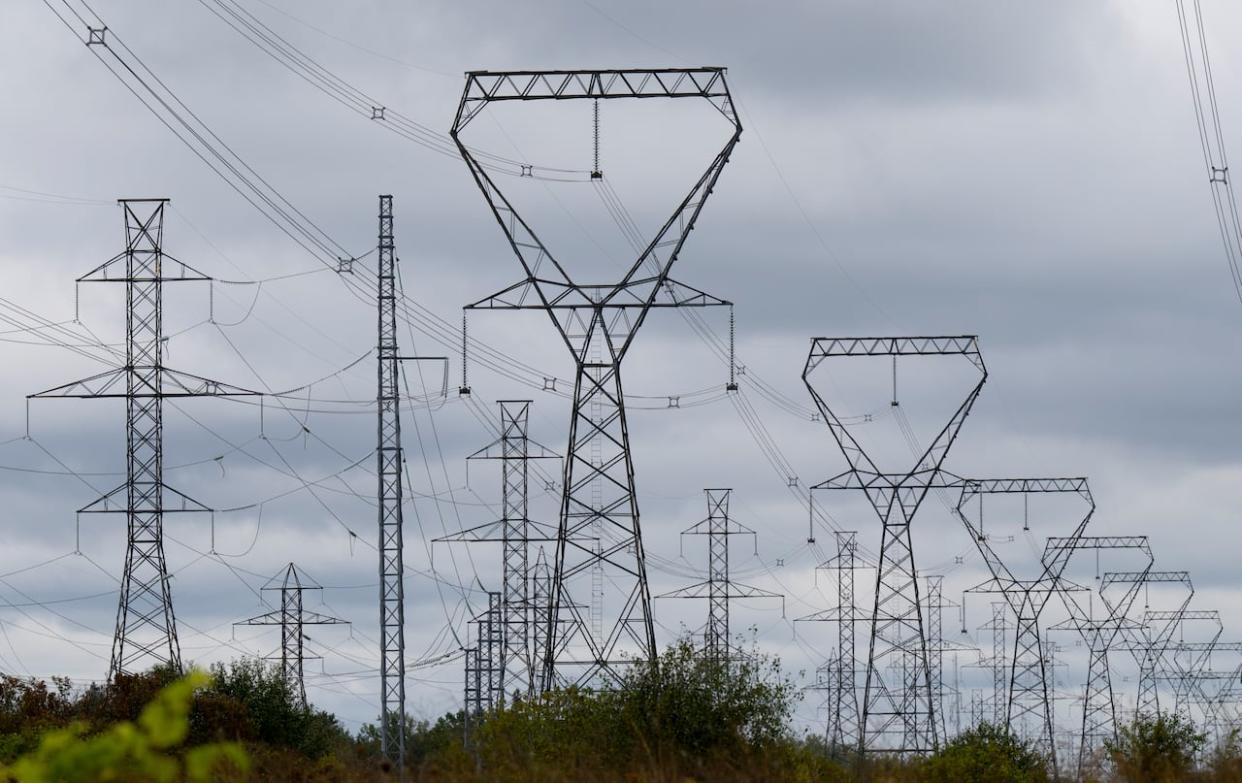 A federal report says the cost to Nova Scotia for transitioning to a clean energy grid will create a net cost to the province of $3 billion over the next 27 years. (Adrian Wyld/The Canadian Press - image credit)