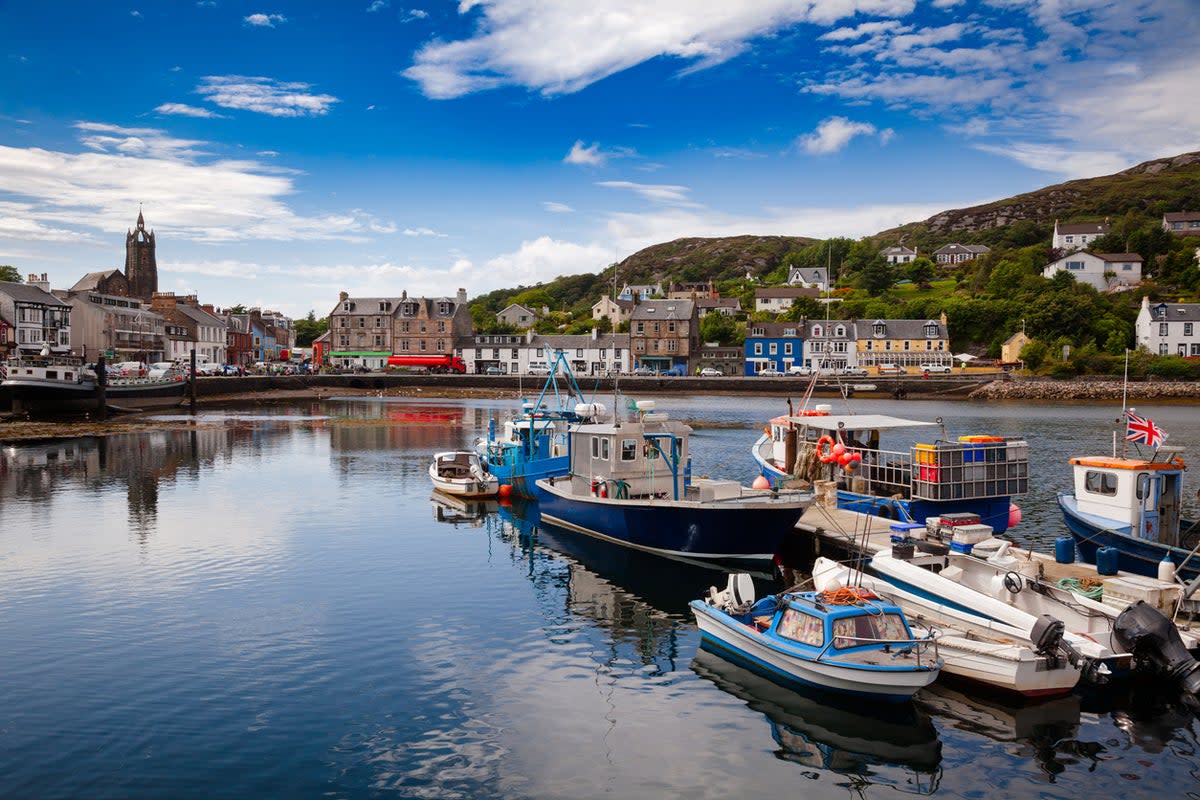 A view of Tarbert Harbour (Getty Images/iStockphoto)