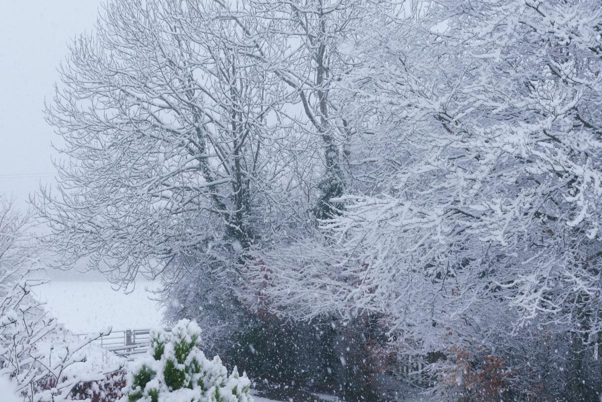 Met Office dismisses claims '500-mile snow bomb' will hit UK