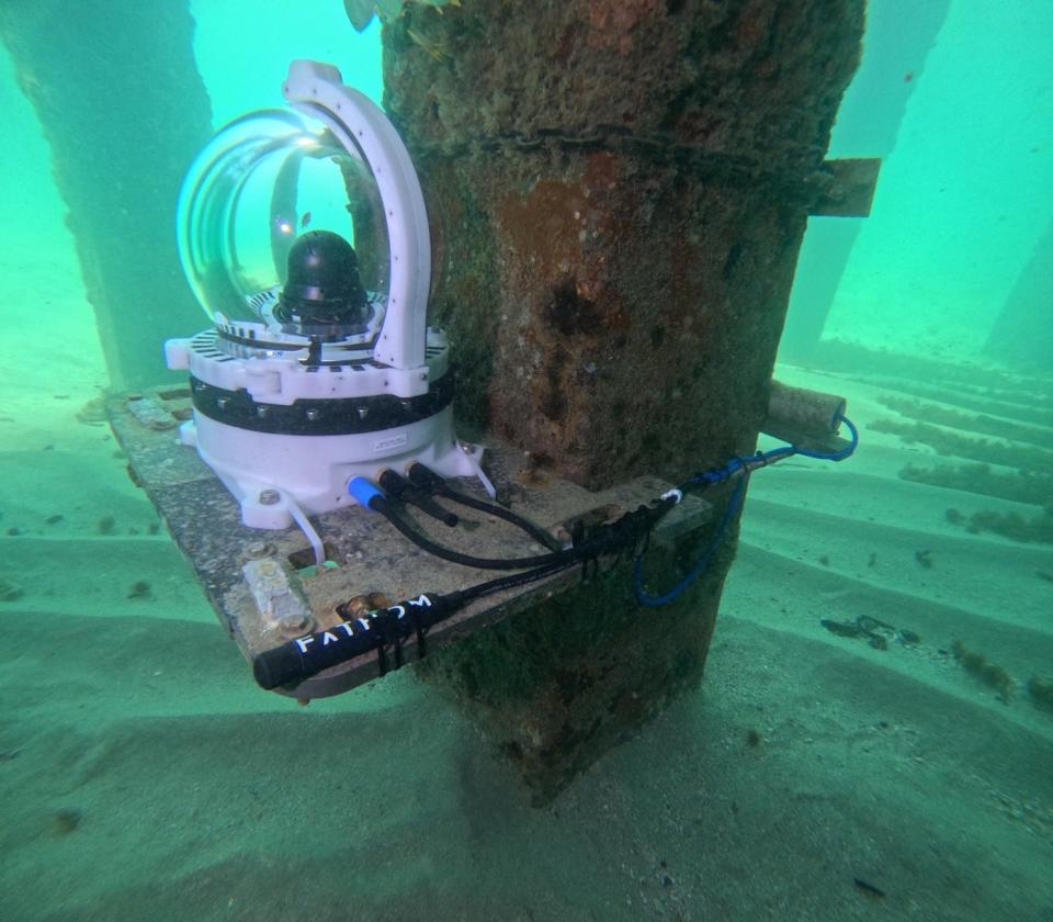 Underwater camera installed against a pole in the ocean floor