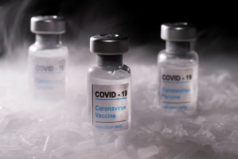 FILE PHOTO: Vials labelled "COVID-19 Coronavirus Vaccine" are placed on dry ice in this illustration