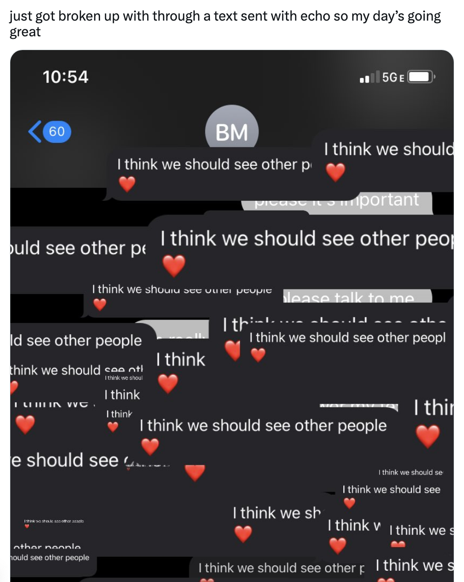 The person's S.O. breaks up with them over text with Echo, so they keep being sent the text "I think we should see other people" over and over again