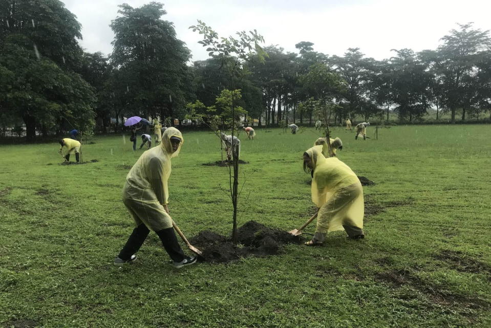 ▲屏東縣環保局與民間合力在里港鄉朧祥河濱公園植樹，讓空品淨化區綠草如茵，令人驚艷。(圖／記者黃謝美蘭攝，2019.05.23)