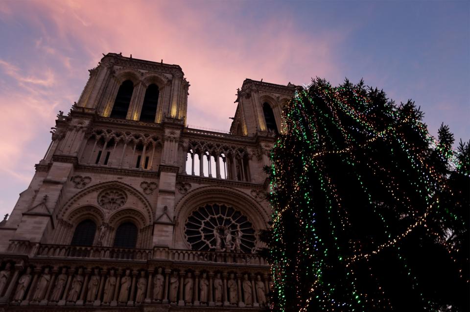 Pink clouds fill the sky at sunrise above the Notre Dame Cathedral near a decorated Christmas tree as part of the holiday season in Paris, December 12, 2013. REUTERS/Philippe Wojazer (FRANCE - Tags: CITYSPACE TRAVEL)