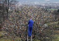 German pensioner Volker Kraft decorates an apple tree with Easter eggs in the garden of his summerhouse, in the eastern German town of Saalfeld, March 19, 2014. Each year since 1965 Volker and his wife Christa spend up to two weeks decorating the tree with their collection of 10,000 colourful hand-painted Easter eggs in time for Easter celebrations. REUTERS/Fabrizio Bensch