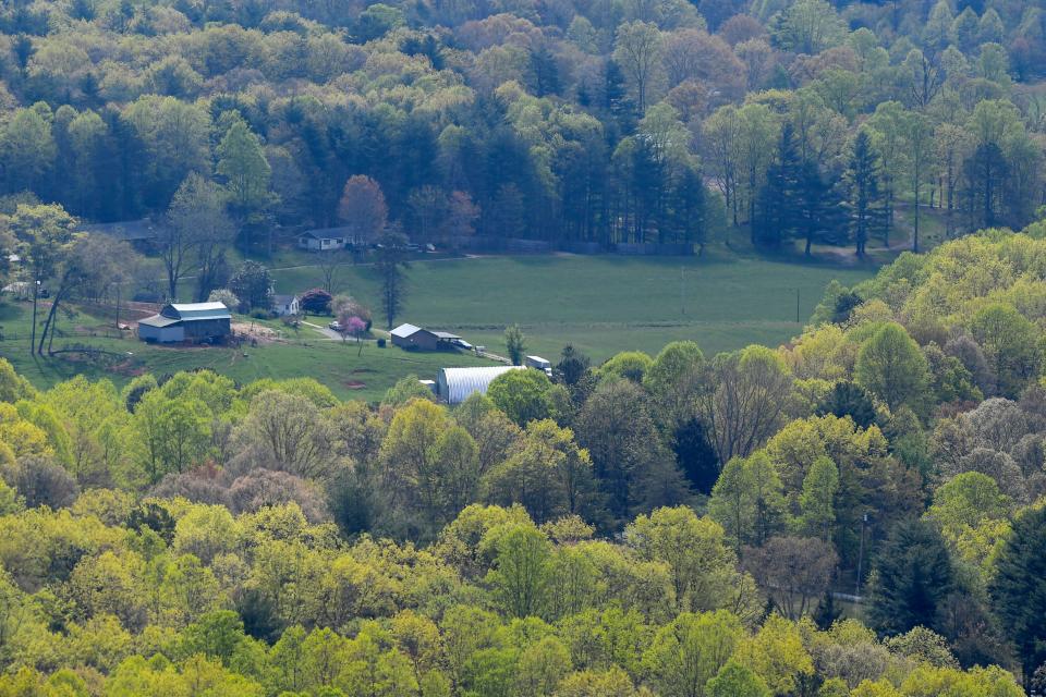 Spring scenes along the Blue Ridge Parkway April 18, 2019.