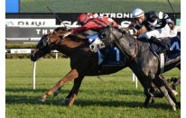 Gai Waterhouse trained Speak Fondly was able to hold off the challenges of Honesta and Perignon to claim the Flight Stakes.