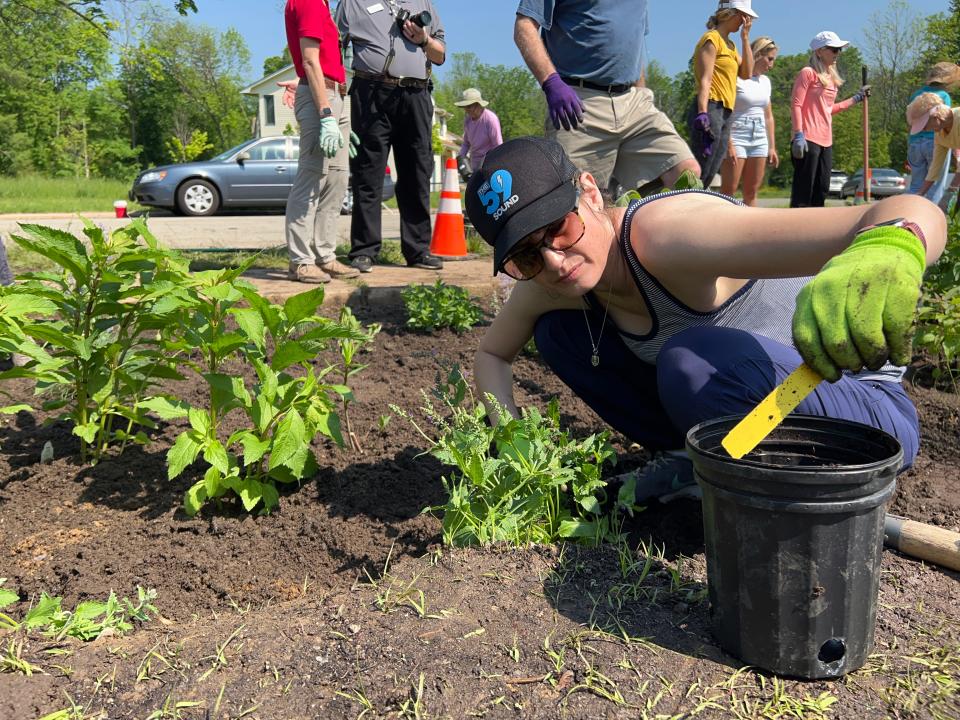 Volunteer Jodi Weitner, of Wayne, places a new plant.