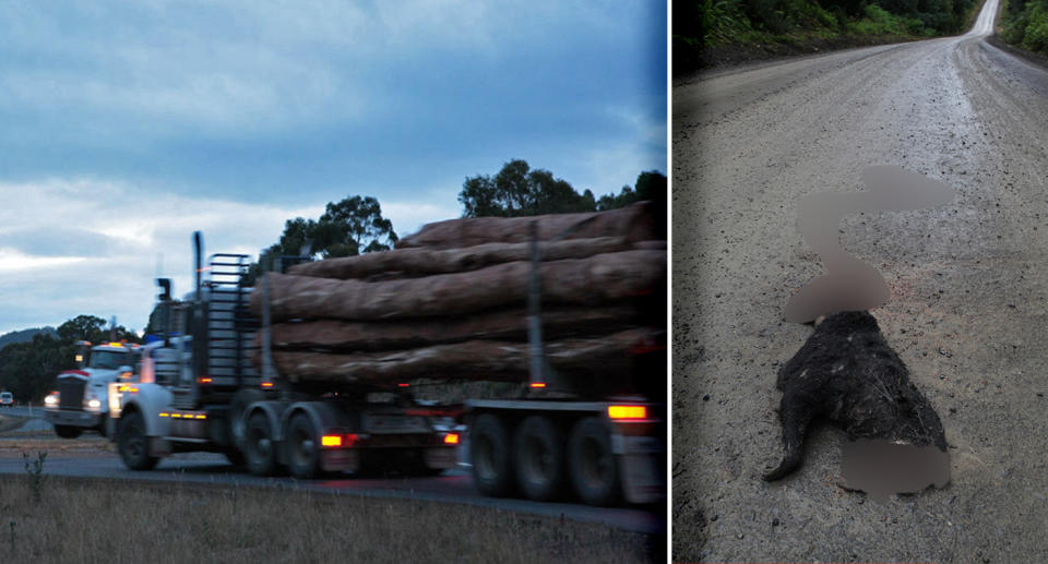 A stock image of trucks carrying logs appears on the left. On the right is photo of a flattened Tasmanian devil.