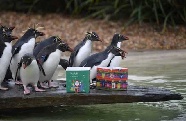 Christmas at Whipsnade Zoo