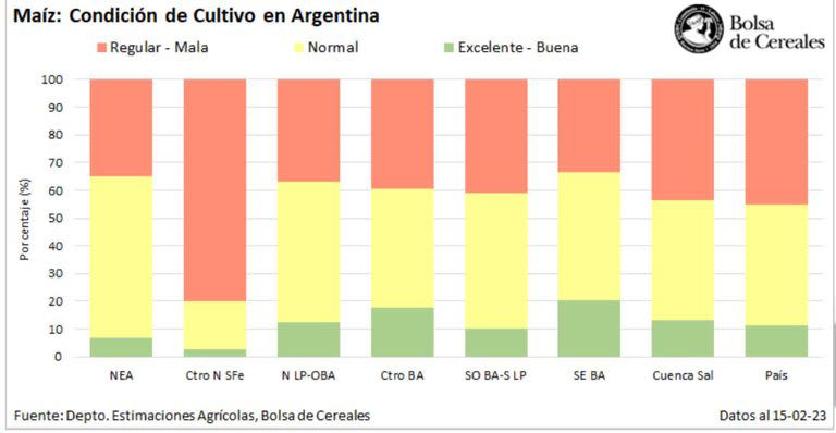 Cómo está hoy el maíz en medio de la sequía