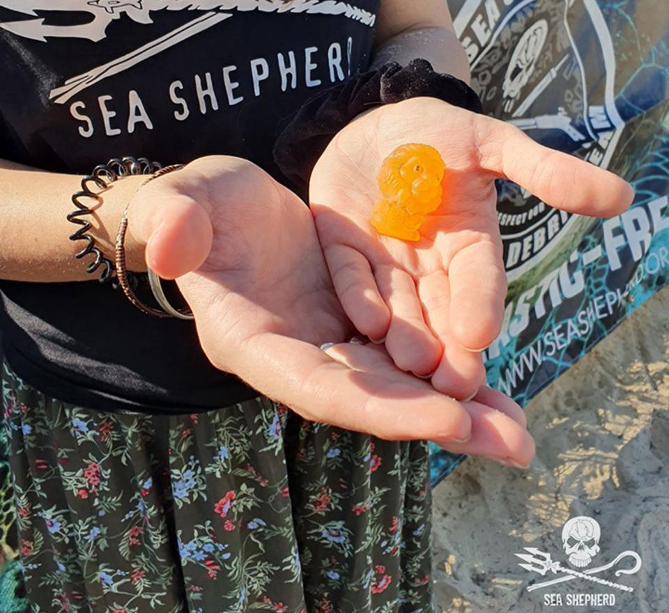 A Woolworths Ooshie which Sea Shepherd claims was found in the tideline among seaweed and shells at Gold Coast's Narrowneck Beach.