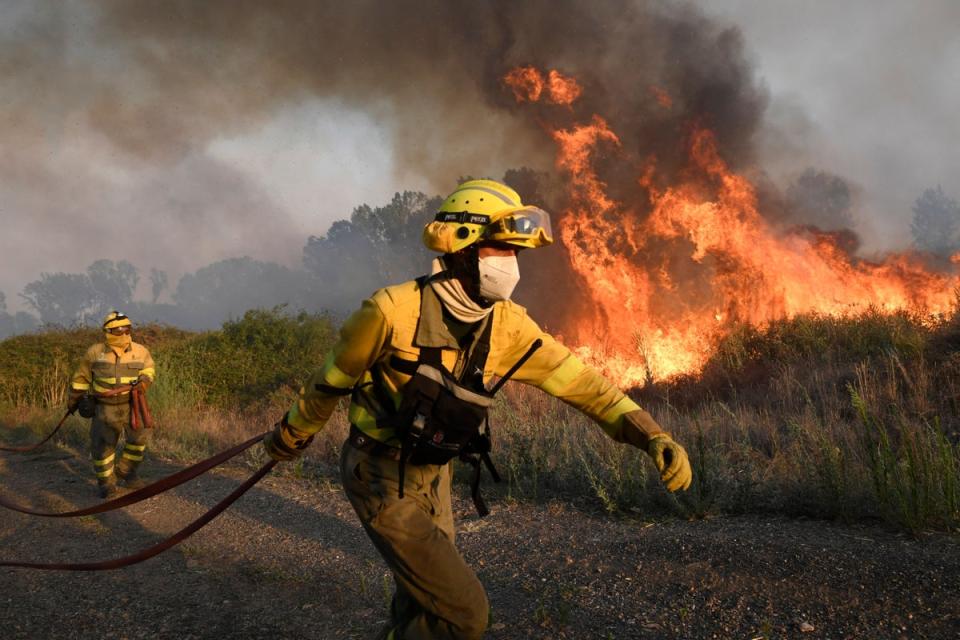 Firefighters try to extinguish a wildfire next to the village of Tabara, near Zamora, northern Spain, on July 18, 2022 (AFP via Getty Images)