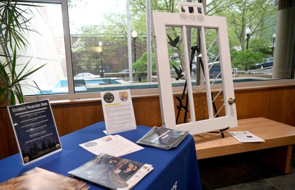 A display at the State College Borough building shows how to deter birds from flying into windows on Friday, April 28, 2023. Abby Drey/adrey@centredaily.com