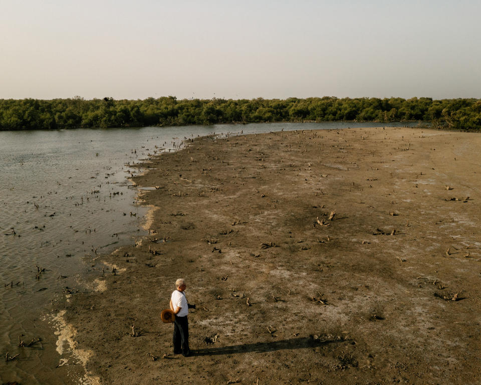 Qaiser looks out at a formerly wooded area of Bundal Island, which has been illegally cleared of its mangrove trees<span class="copyright">Matthieu Paley for TIME</span>