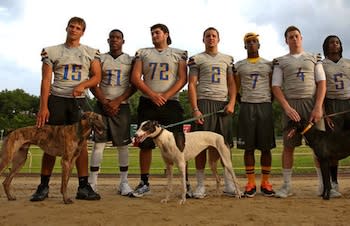 The Lyman Greyhounds with real greyhounds — Orlando Sentinel