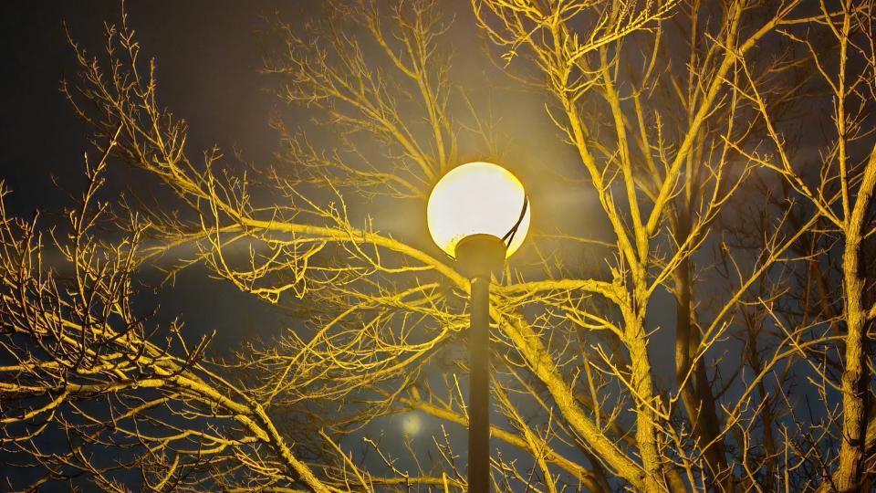 low light shot of street lamp and a tree with Honor Magic V2