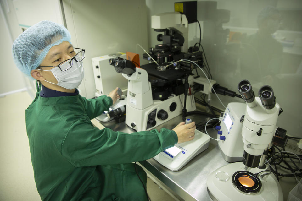 In this Oct. 9, 2018, photo, Chinese scientist Qin Jinzhou works with embryos in a laboratory in Shenzhen in southern China's Guangdong Province. Three researchers involved in the births of genetically edited babies have been convicted and sentenced for practicing medicine illegally, Chinese state media said Monday. Qin received an 18-month sentence, but with a two-year reprieve, and a 500,000 yuan fine. (AP Photo/Mark Schiefelbein)