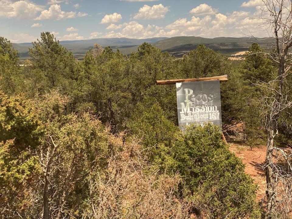 Sign in middle of green forest with blue skies and clouds in the background