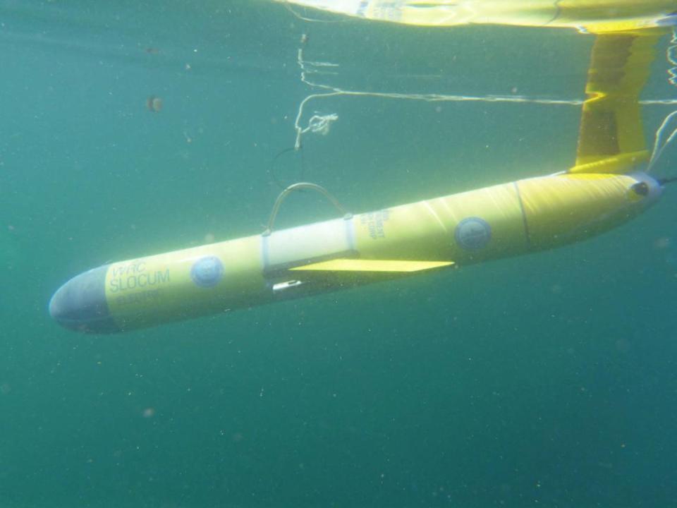 A newly launched glider still tethered to the boat. Gliders are torpedo-shaped and full of sensors, and the crafts are launched underwater to collect oceanographic data — in this case, whale vocalizations.