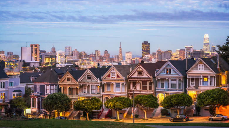 San Francisco painted ladies view