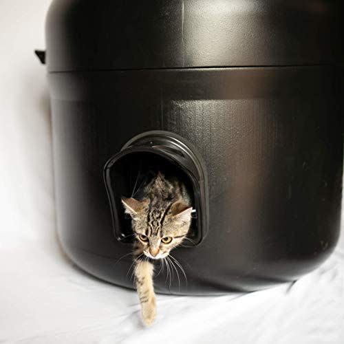 8) The Kitty Tube