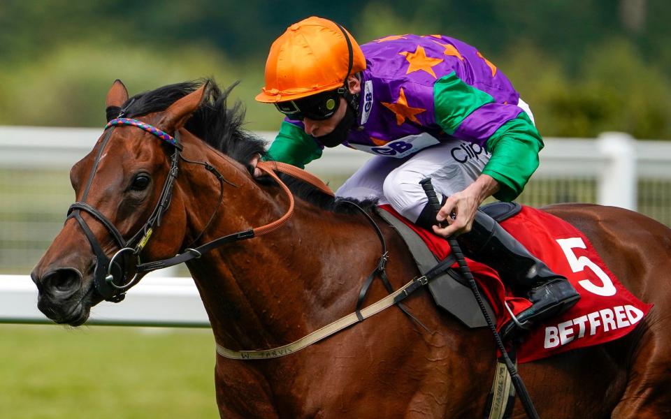 Lady Bowthorpe is owned by Emma Banks and races at Royal Ascot this week - Getty Images