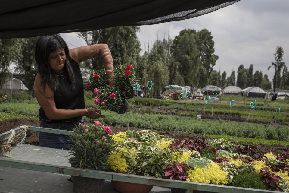 Elisa Xolalpa, who survived an acid attack while tied to a post by her ex-partner 20 years ago when she was 18, loads plants into a wheelbarrow at her greenhouse where she grows flowers to sell at a market in Mexico City, Saturday, June 12, 2021. Xolalpa is focused on preparing herself mentally for a new court hearing for her attacker, who was finally arrested in February 2021. (AP Photo/Ginnette Riquelme)