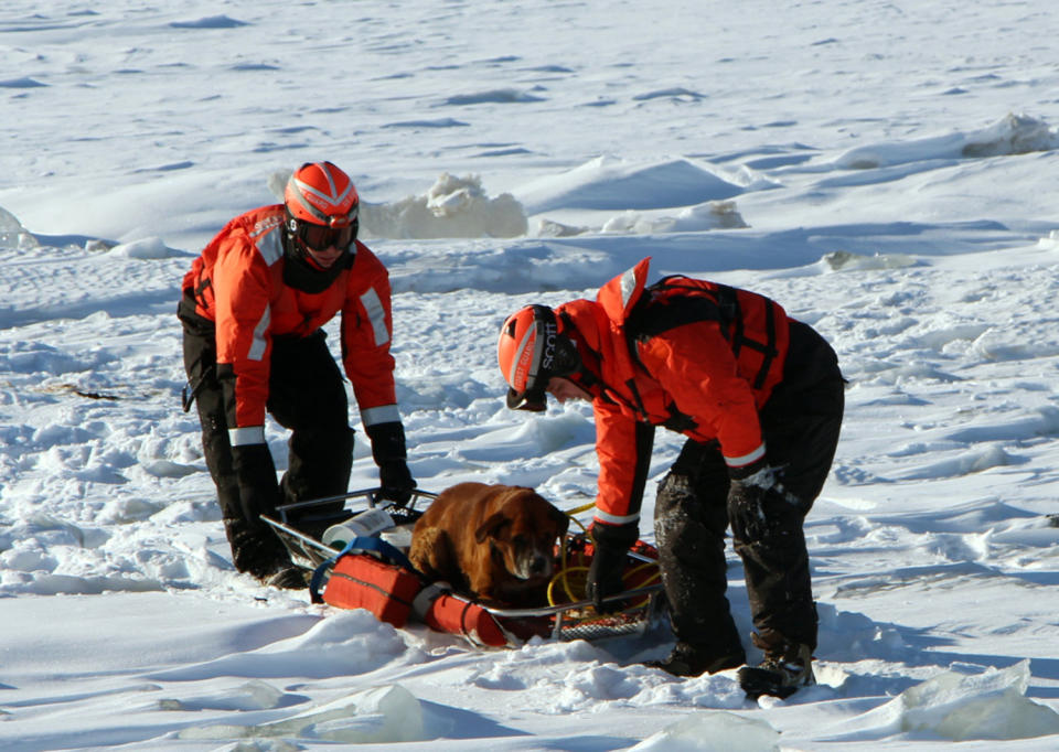 In this Monday, March 3, 2014 photo provided by the U.S. Coast Guard, crew members assigned to Coast Guard Cutter Bristol Bay assist a dog they found stranded on the ice of Lake St. Clair, Mich. The dog, who the crew later named "Lucky," was taken inside the ship, where it was provided food and care before before taking it to an animal shelter. (AP Photo/U.S. Coast Guard)