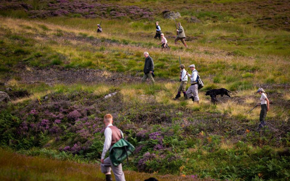 A shooting party set off on first day of the grouse shooting season - Getty