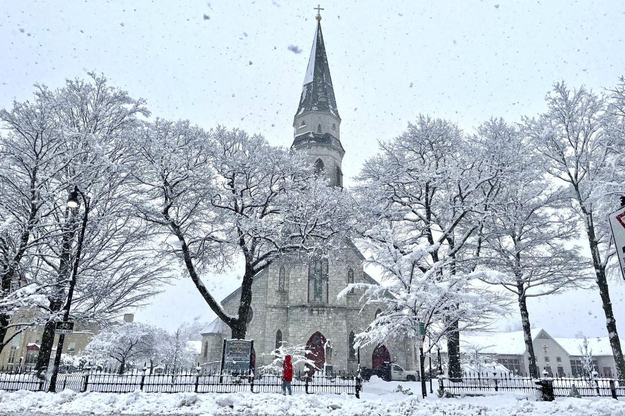 Trees near St. Joseph's Church are covered with snow, Tuesday, March 14, 2023, in Pittsfield, Mass. The New England states and parts of New York are bracing for a winter storm due to last into Wednesday. (Ben Garver/The Berkshire Eagle via AP)