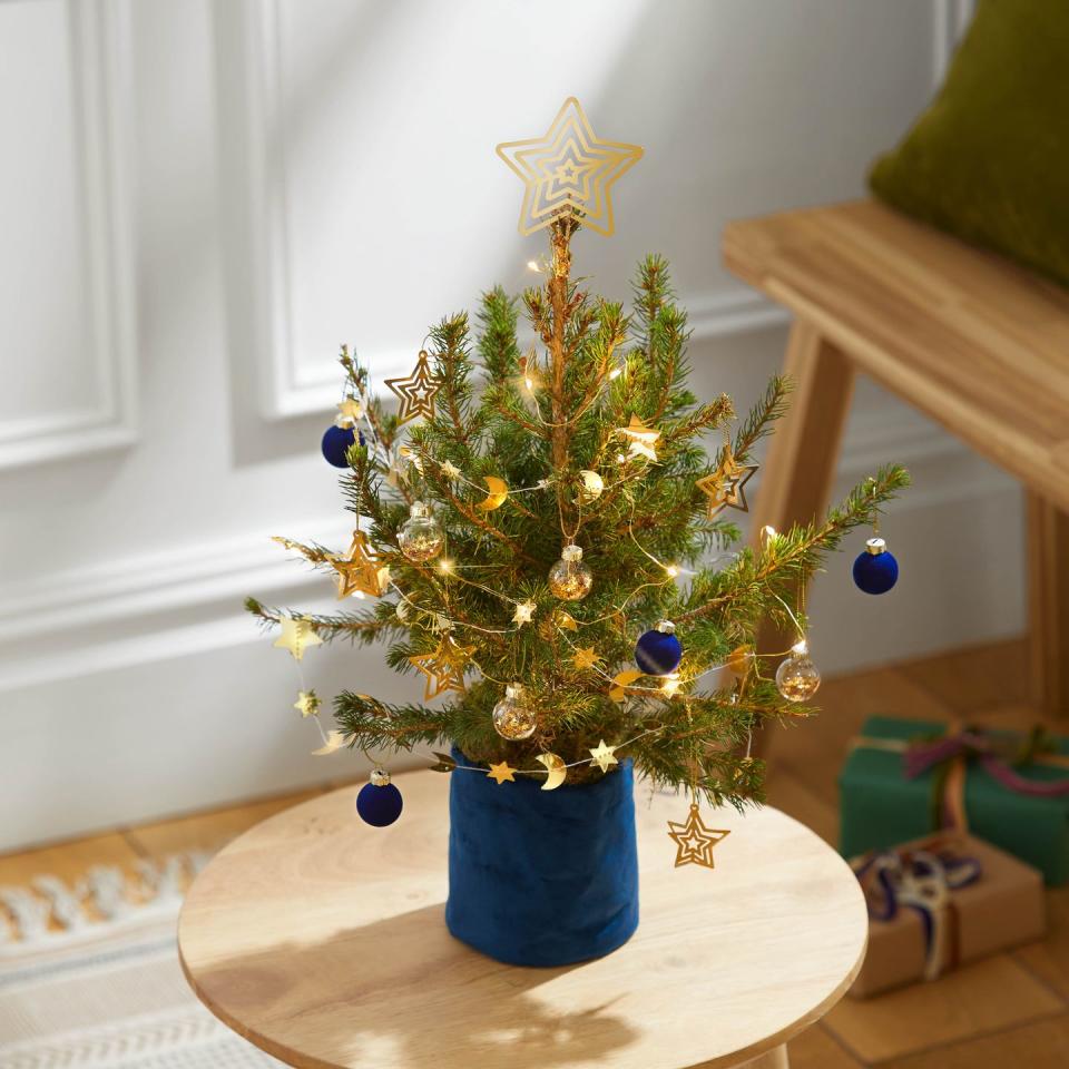 bloom wild mini christmas tree starry night tree