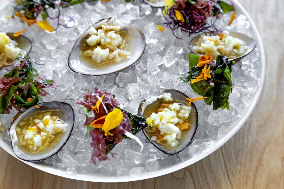 A spread of raw seafood at Causita