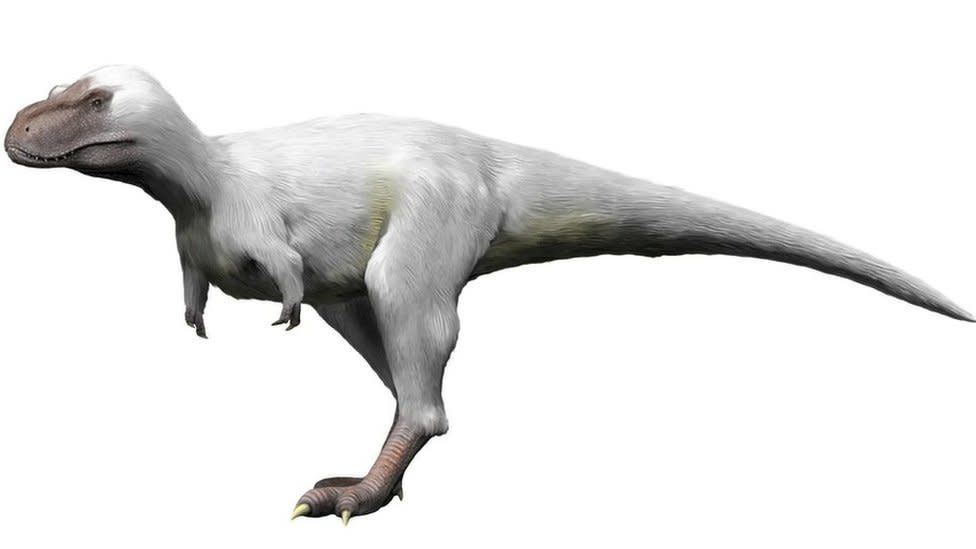 Nanuqsaurus