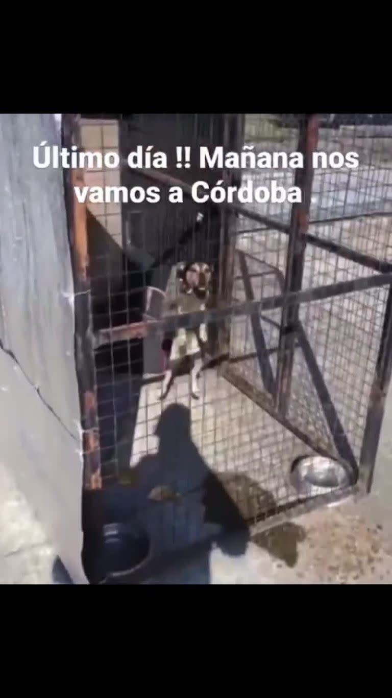 Coco, antes de terminar la cuarentena