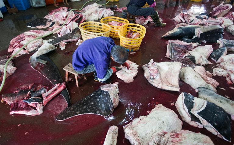 This undated photo released on January 27 by conservation group WildLifeRisk shows whale shark fins being processed at a factory in Pu Qi in China's Zhejiang province