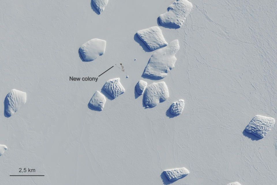 Markings points to a patch of penguin guano on an image captured by the Copernicus Sentinel-2 satellite mission Aug. 26, 2019. British scientists say they've confirmed that there are more emperor penguin colonies in Antarctica than previously thought. Researchers at the British Antarctic Survey used satellite images to spot tell-tale evidence of bird droppings. (Copernicus Sentinel-2/ESA via AP)