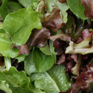 https://s.yimg.com/os/en-US/blogs/partner/organic-salad.jpg