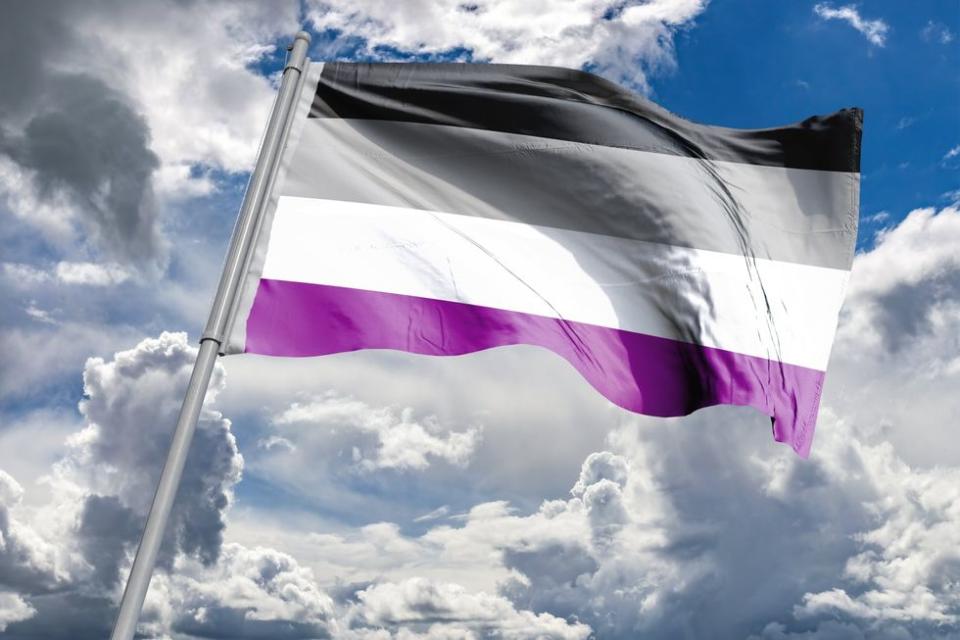 asexual flag