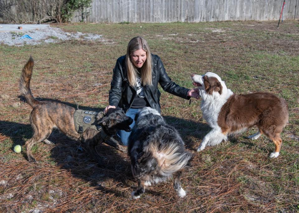 Pensacola Humane Society interim executive director Manda Moore-Joseph is surrounded by her dogs Isa, from left, Gunner, and Axl at their Holley By The Sea home on Friday, Dec. 16, 2022.