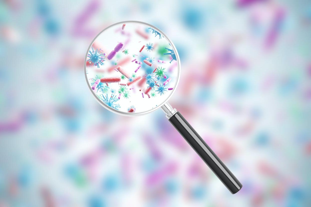 <a href="https://www.shutterstock.com/es/image-photo/pink-blue-viruses-bacteria-various-shapes-749202751" rel="nofollow noopener" target="_blank" data-ylk="slk:Shutterstock / ImageFlow;elm:context_link;itc:0;sec:content-canvas" class="link ">Shutterstock / ImageFlow</a>