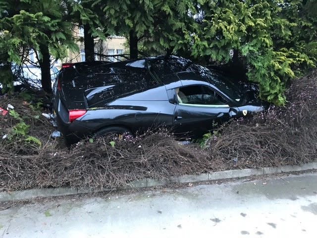 The Ferrari hit two bollards before ended up in a bush (SWNS)